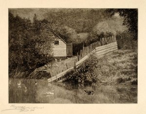 Um lago de patos de Henry Wolf