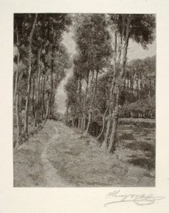 Um caminho para Longpre (Paisagem francesa) de Henry Wolf