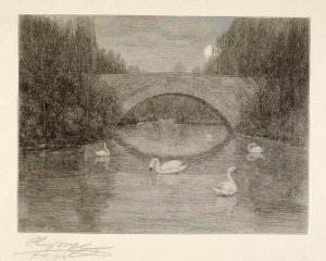 Noite, Lago dos Cisnes, Central Park, Nova Iorque de Henry Wolf
