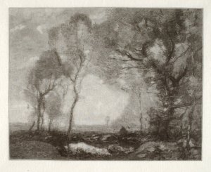 Paisagem de Henry Wolf