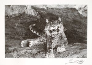 Tigre de Henry Wolf