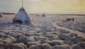 Pântanos da Lituânia sob a neve.