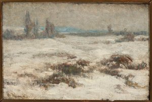 Paisagem de inverno