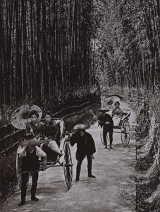 Uma Avenida Bamboo em Kyoto (foto a p/b) de Herbert Ponting