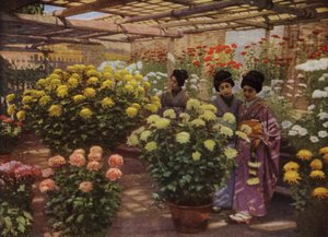 No Chrysanthemum Show (foto) de Herbert Ponting