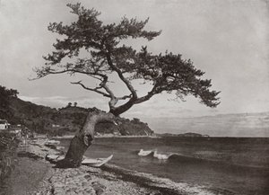 Atami (foto a p/b) de Herbert Ponting
