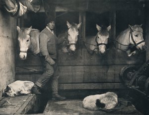 Capitão Oates, na Terra Nova com os Pôneis da Sibéria, c1911, 1914.
