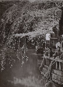 Tempo de Cereja-Posso no Japão (foto a p/b) de Herbert Ponting