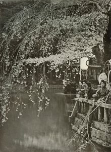 Cherry-Blossom Time no Japão, 1910. de Herbert Ponting