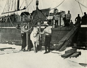 Desembarque dos pôneis, c19101913, 1913 de Herbert Ponting