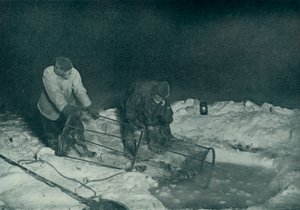 Dr. Atkinson e Clissold transportando a armadilha para peixes, 28 de maio de 1911, 1913 de Herbert Ponting