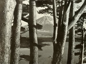 Fuji e os pinheiros, 1910. de Herbert Ponting