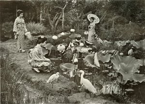 Em Lotus-Land, 1910. de Herbert Ponting
