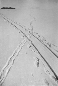 Trenó de Trenós Cruzando uma Trilha dos Pinguins de Adélie, 8 de dezembro de 1911, 1913 de Herbert Ponting