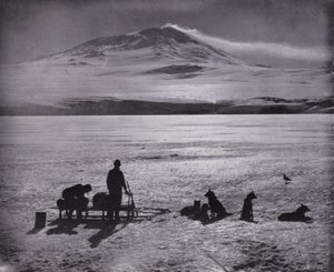 Cães e marretas, com o Monte Erebus ao fundo (foto a p/b) de Herbert Ponting