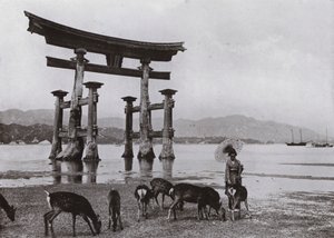 A velha Torii em Miyajima (foto a p/b) de Herbert Ponting