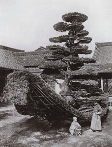O Lixo do Pinheiro em Kinkakuji (foto a p/b) de Herbert Ponting