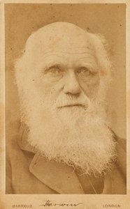 Retrato de Charles Darwin 1809-1882, 1881.