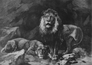 Roused !, c1910, 1911