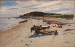 Cape Cod, Praia