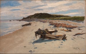 Cape Cod, Praia, 1894.