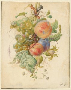 festa de frutas