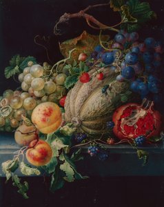 Fruit Still Life on a Stone Ledge (chumbo preto, aquarela e bodycolour em velino)