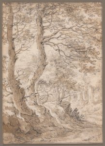 Um interior de floresta, com uma figura sentada de Herman Saftleven