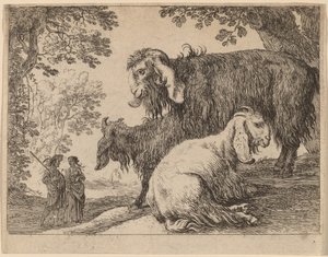 Ovelha Angorá de Herman van Swanevelt