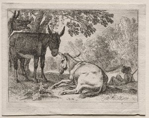 Burros. de Herman van Swanevelt