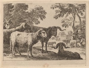 Carneiros de Herman van Swanevelt