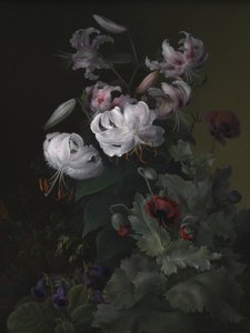  de Hermania Sigvardine Neergaard