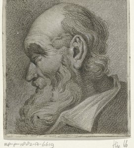 Retrato de uma barba cinzenta, en profil