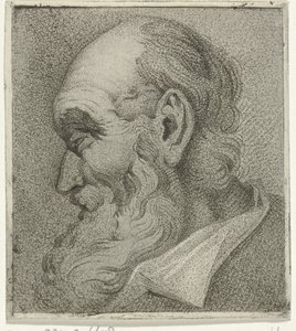 Retrato de uma barba cinzenta, en profil