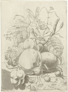 Fruta e um ramo com uma borboleta de Hermanus Fock