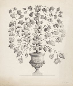 Árvore genealógica da Casa de Orange-Nassau de Hermanus Johannes Abbring