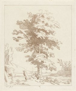 Árvore numa paisagem de Hermanus Numan