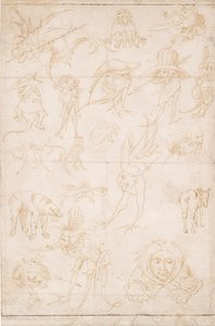 Estudos grotescos, c1500-1520 de Hieronymus Bosch