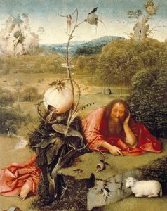 “" São João Baptista adormecido na natureza "" Pintura de Hieronymus Van Aeken (Aken) diz Jerome Bosch (1450-1516) 1504-1505 Madrid. Fundação Lazaro Galdiano de Hieronymus Bosch
