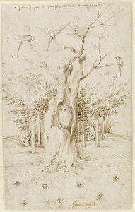 The Wood Has Ears, The Field Has Eyes par Bosch, Hieronymus (c. 1450-1516). Caneta, tinta indígena castanha sobre papel, tamanho : 20,2x12,7, c. 1500-1515, Staatliche Museen, Berlim de Hieronymus Bosch