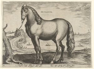 Cavalo da Bretanha (Brittanus)
Britannvs (título sobre o objecto)
Raças de cavalos dos estábulos reais de Don Juan da Áustria (título da série)
Equile Ioannis Austriaci Caroli (título da série) de Hieronymus Wierix