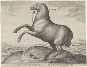Cavalo da Cítia Cimber (título no objeto) Raças de Cavalos dos Estábulos Reais de Don Juan da Áustria (título da série) Equile Ioannis Austriaci Caroli (título da série) de Hieronymus Wierix