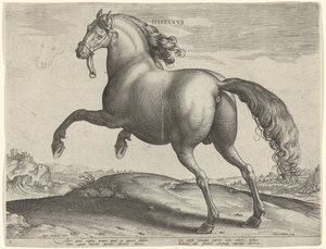 Cavalo de Espanha (Hispanus Alter)
Hispanvs (título sobre o objecto)
Raças de cavalos dos estábulos reais de Don Juan da Áustria (título da série)
Equile Ioannis Austriaci Caroli (título da série) de Hieronymus Wierix