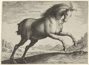 Cavalo da raça Equus Regius (o Real) Eqvvs Regivs (título no objeto) Raças de cavalos dos estábulos reais de Don Juan da Áustria (título da série) Equile Ioannis Austriaci Caroli (título da série) de Hieronymus Wierix