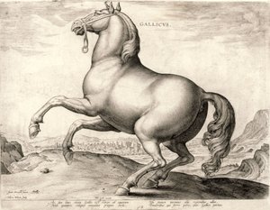 Gallicus da série Cavalos do estábulo de Don Juan da Áustria (gravura em wove)