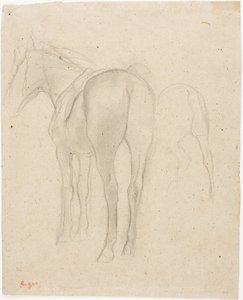 Estudos de um cavalo de Hilaire Germain Edgar Degas