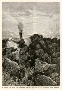 Uma manada de dez ou doze mil búfalos barrou a pista, de Volta ao Mundo em Oitenta Dias, de Jules Verne (1828-1905), gravada por Louis Prevost, 1873
