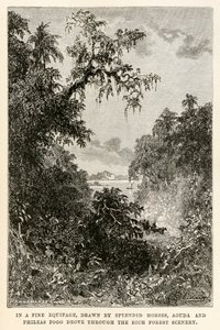 Em uma boa equipagem, puxada por cavalos esplêndidos, Aouda e Phileas Fogg atravessaram a rica paisagem da floresta, de Volta ao Mundo em Oitenta Dias, de Jules Verne (1828-1905), gravada por Henri-Théophile