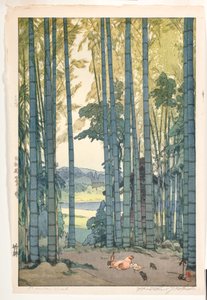 Bosque de Bambu