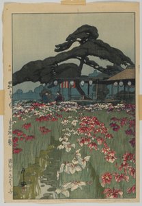 Iris Garden em Horikiri, da série, Twelve Scenes of Tokyo, era Showa de Hiroshi Yoshida